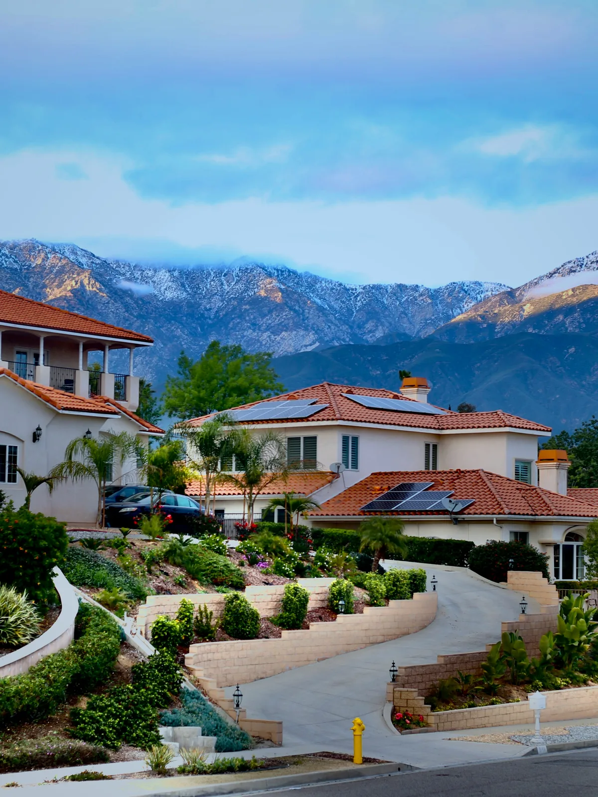 Tree-lined residential street in Upland, California with snow-capped San Gabriel Mountains